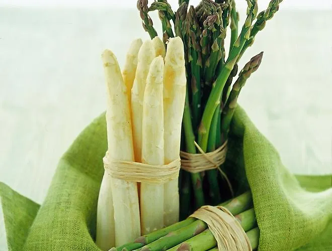 Al Sole Castello di Godego